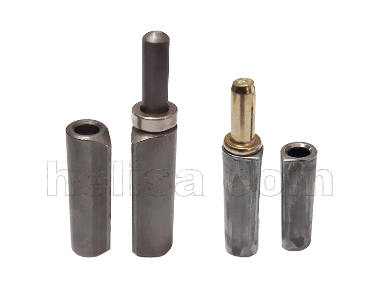 Suza  bravarska sarka